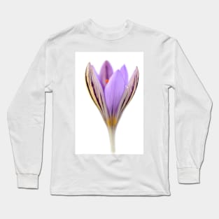 Crocus corsicus  AGM	  Corsican crocus Long Sleeve T-Shirt